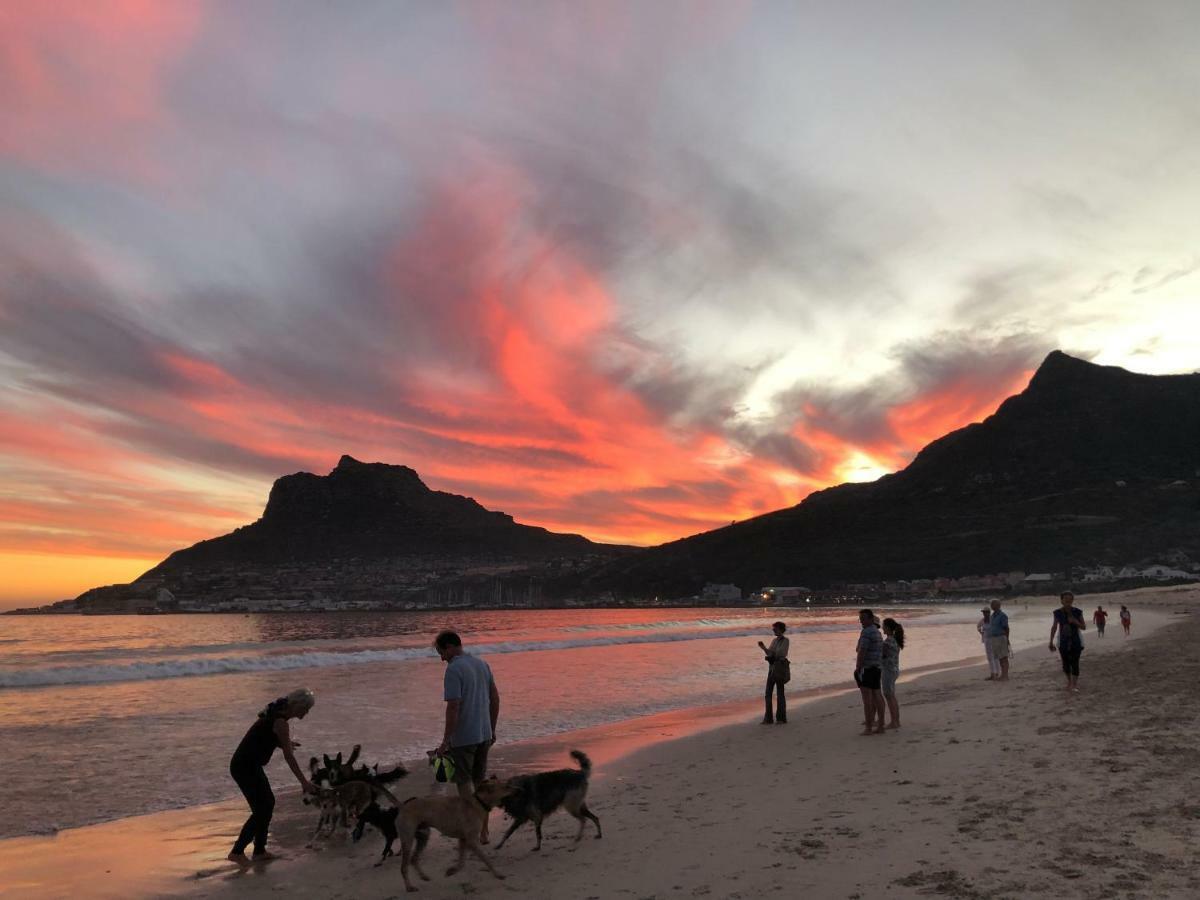 Studio On Albert, Hout Bay Zewnętrze zdjęcie
